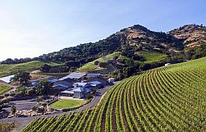 Photography by Bob McLenahan

Stags Leap Appellation, Napa Valley, California, USA
