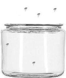 Glass jar courtesy shopinthekitchem.com